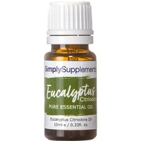 Eucalyptus Essential Oil